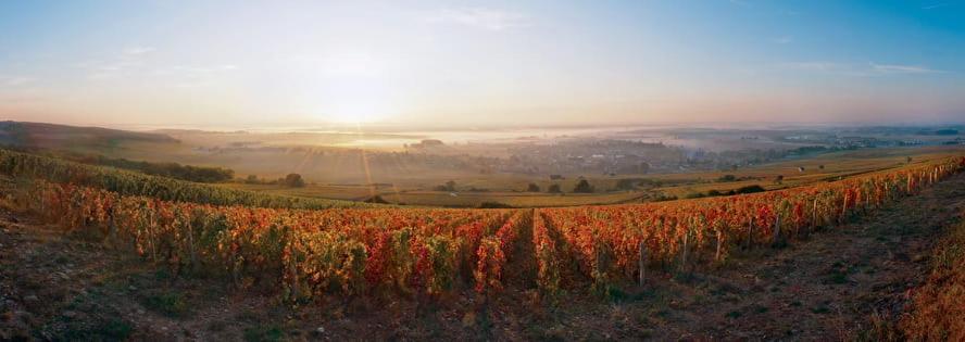 Logis Hotel L'Escargotiere Dijon Sud - Chenôve Екстериор снимка